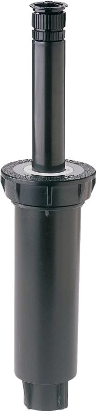 celebrationhardware3794983