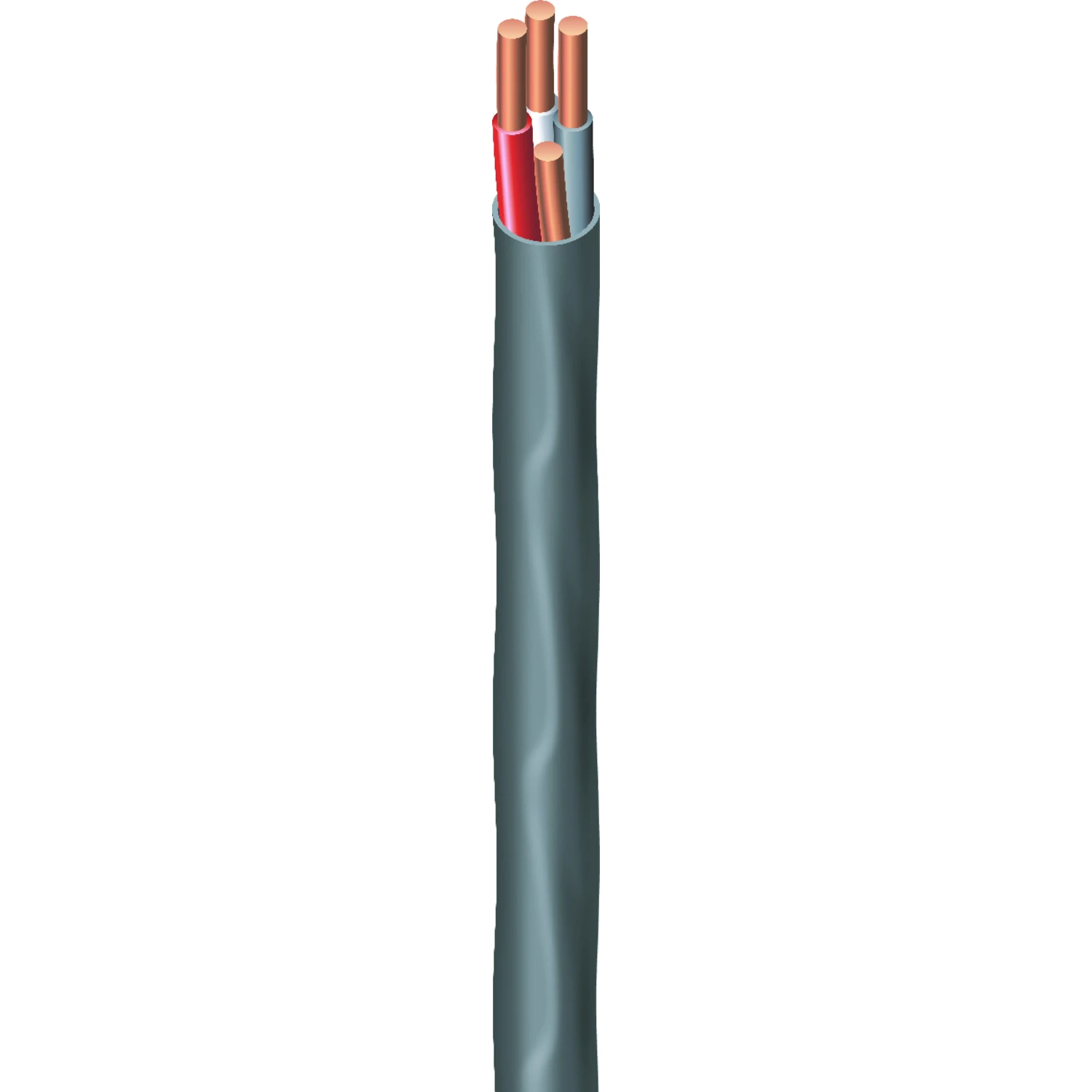 celebrationhardware4567035