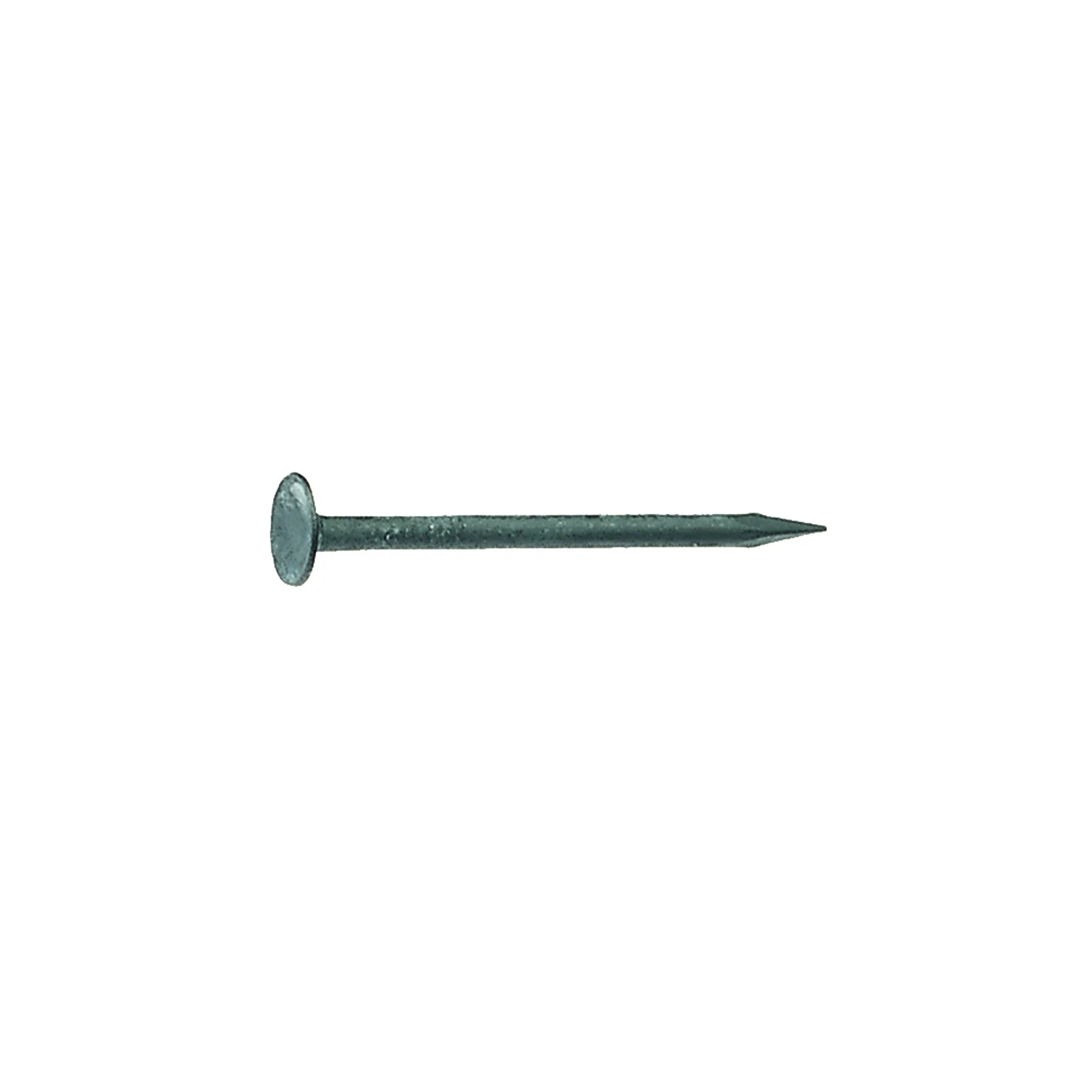 celebrationhardware5219107