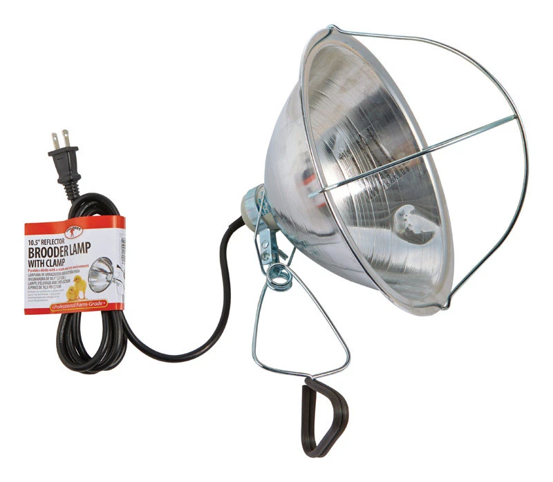 celebrationhardware5297411