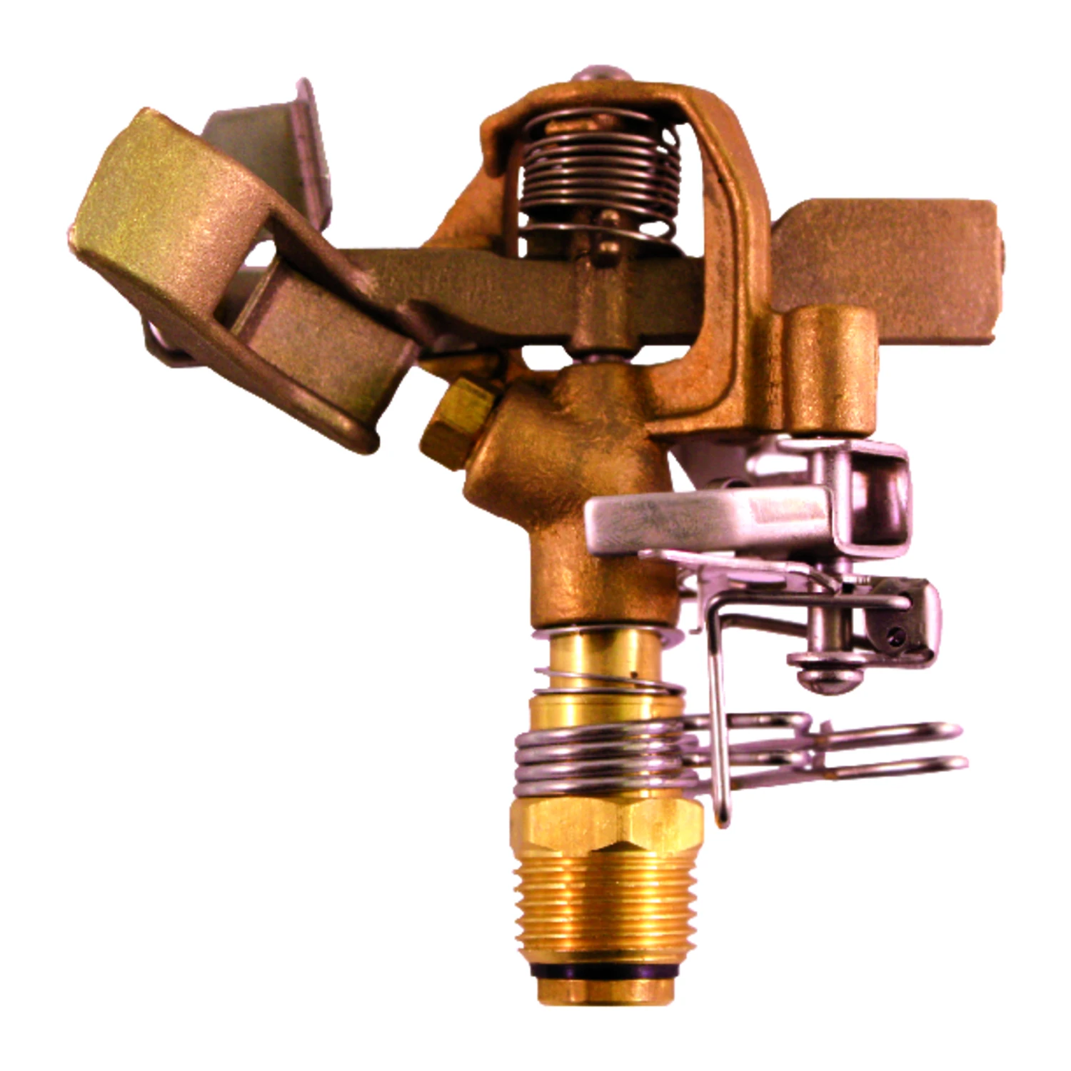 celebrationhardware5510495