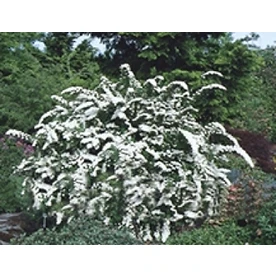 helmshardware4506088